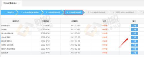 青島公司稅務注銷網上操作流程-稅務登記注銷流程(圖8)
